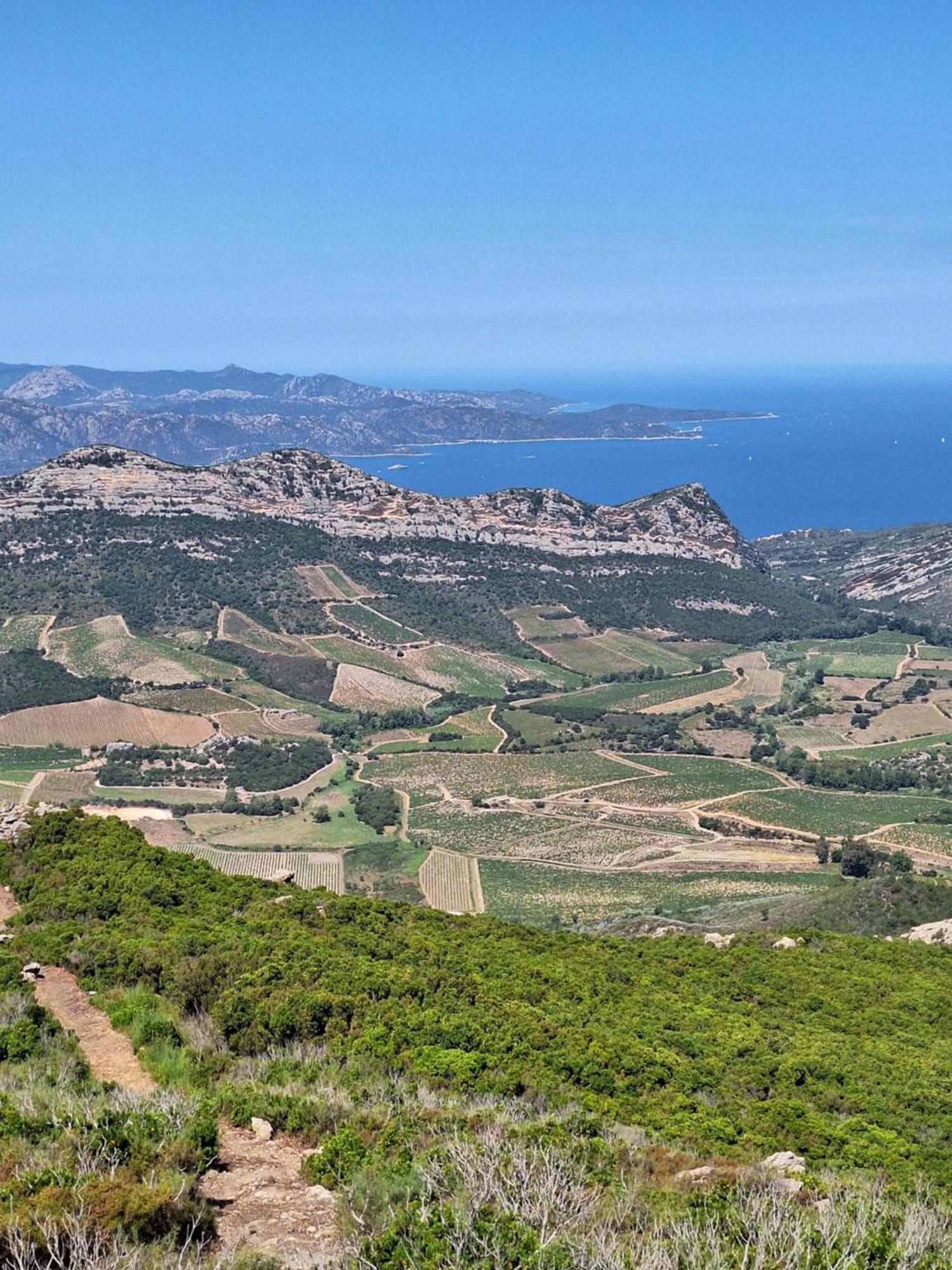 Le Clos Osteria Barbaggio 外观 照片